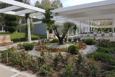 Tork Çelik - Mingachavir - Heydar Aliyev Park